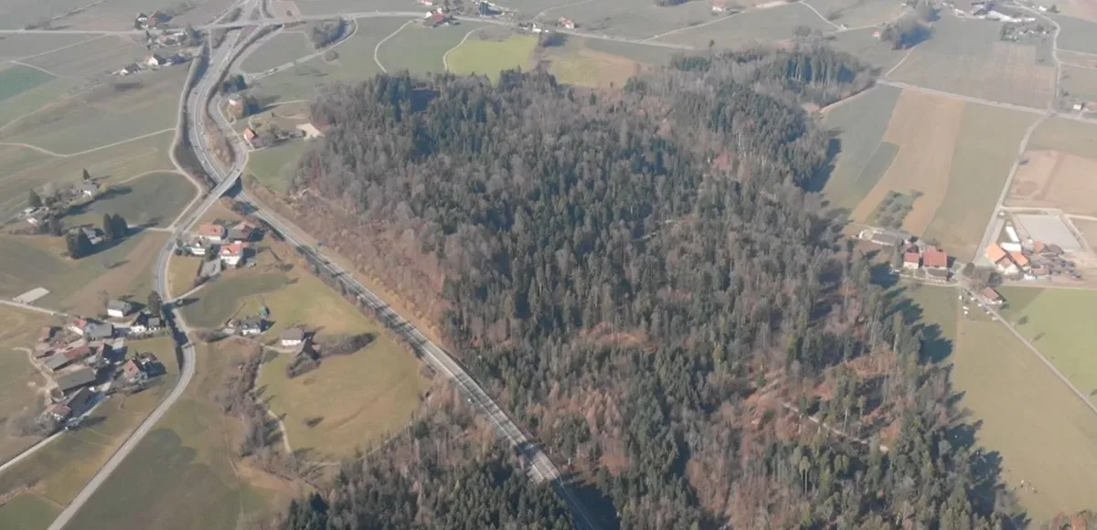 Luftaufnahmen des Tägernauer Holz zwischen Grüningen und Gossau.
